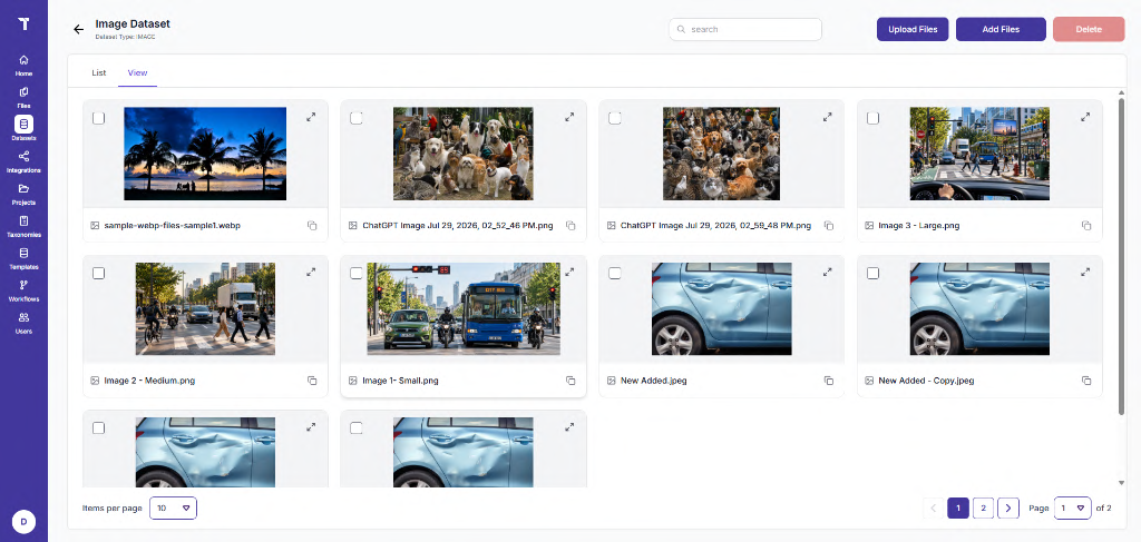 Figure 34: Dataset – View Tab (Thumbnails)